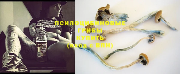 трава Козловка