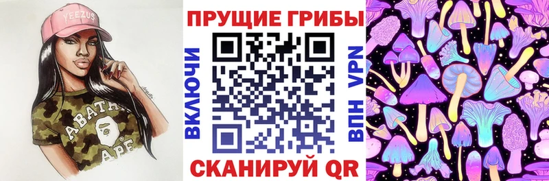 Псилоцибиновые грибы Magic Shrooms  наркотики  Мамадыш 